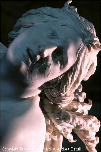 ROMA
Galleria Borghese
Sala degli Imperatori
"Pluto e Proserpina" di Gian Lorenzo Bernini