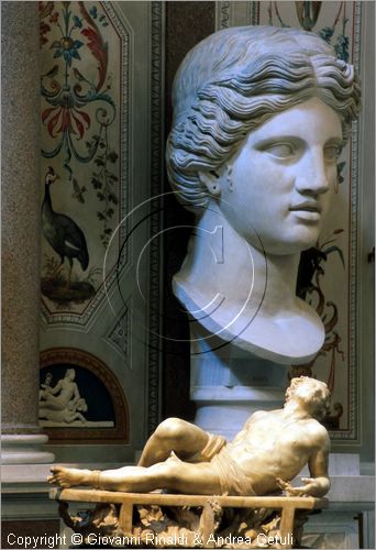 ROMA
Galleria Borghese
(IN ESPOSIZIONE TEMPORANEA)
San Lorenzo di Gian Lorenzo Bernini