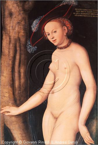 ROMA
Galleria Borghese
Pinacoteca - Sala X
"Venere e Amore" di Lucas Cranach il Vecchio del 1531 circa
