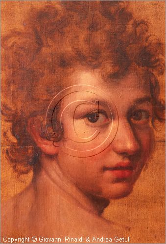 ROMA
Galleria Borghese
Pinacoteca - Sala XIX
"testa di giovane" di Lavinia Fontana (1606)
