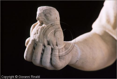 ROMA
Villa Torlonia
Museo del Casino dei Principi
Piano inferiore
Athena Parthenos, statua in marmo pentelico di tarda et traianea
particolare del braccio con la civetta aggiunta da Bartolomeo Cavaceppi (1717-1799) nel corso del restauro