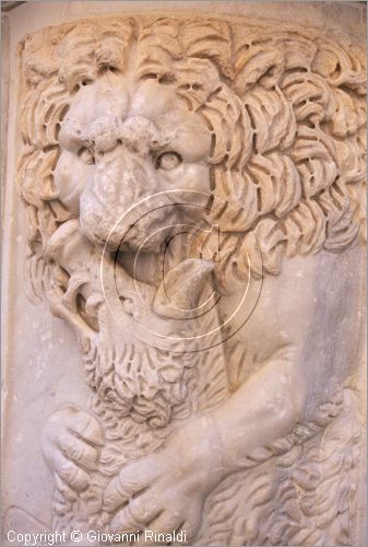 ROMA
Villa Torlonia
Museo del Casino dei Principi
esterno
frammento di sarcofago antico con leone che azzanna un cinghiale (seconda met del III secolo d.C.)