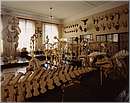 museozoologico03.jpg