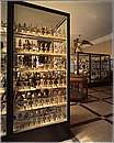 museozoologico06.jpg