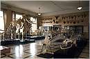 zoologia030.jpg