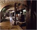 torgianomuseovino0006.jpg