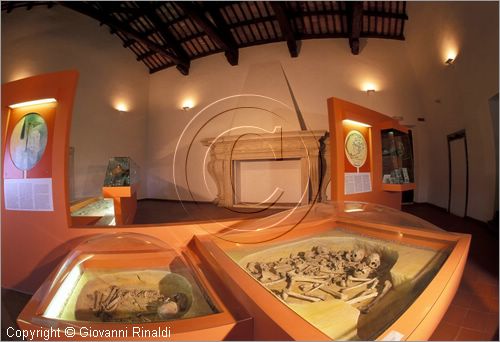 VALENTANO (VT)
Museo Civico
sala III: sala del grande camino del Sangallo con i plastici dei ritrovamenti dell'et del bronzo