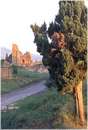 romaappia0002.jpg