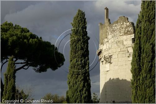 roma_appiaantica_5571.jpg