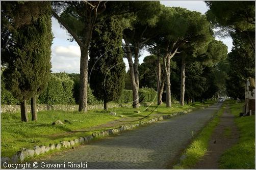 roma_appiaantica_5625.jpg