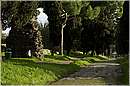 roma_appiaantica_5606.jpg