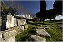 roma_appiaantica_5721.jpg