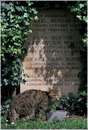 cimiteroinglese0020.jpg