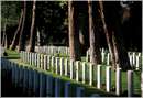 cimiteromilbrit0010.jpg