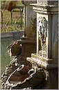 roma_villadoriapamphili_8221.jpg