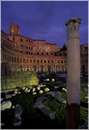 romafori0001.jpg