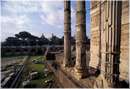 romafori0035.jpg