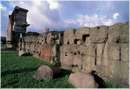 romafori0037.jpg