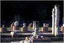 romaforo0050.jpg