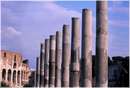 romaforo0085.jpg