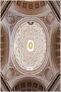 carlino_DSC_5514.jpg