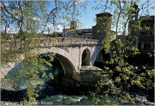 tevere0015.jpg