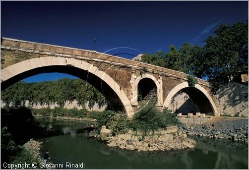 tevere0021.jpg