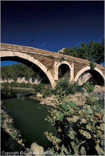 tevere0022.jpg