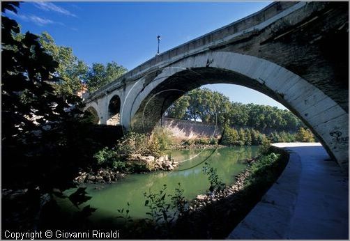 tevere0024.jpg