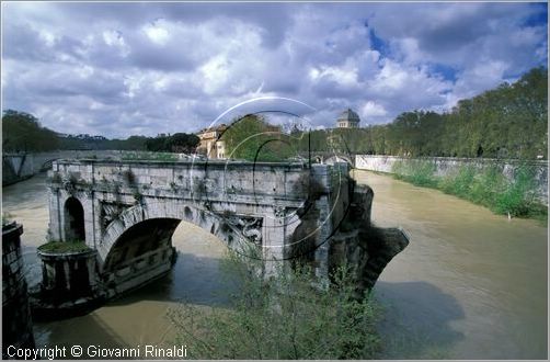 tevere0029.jpg