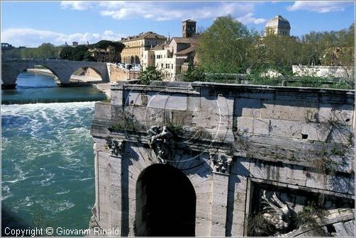 tevere0031.jpg