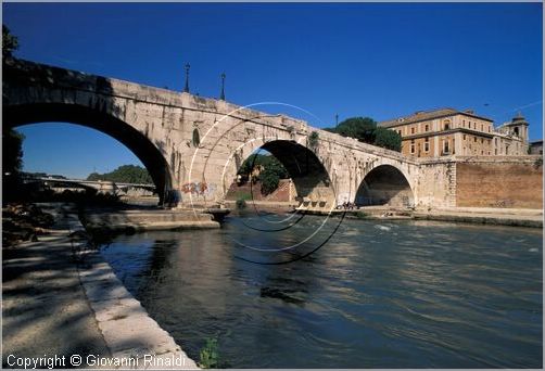 tevere0039.jpg