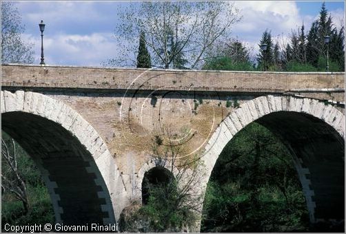 tevere0048.jpg
