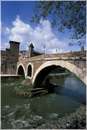 tevere0013.jpg