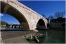 tevere0042.jpg