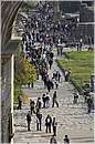 roma_fororomano_4314.jpg