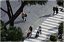 roma_viadeiforiimperiali_4075.jpg