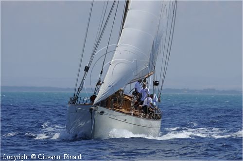 asw08_G813124.jpg