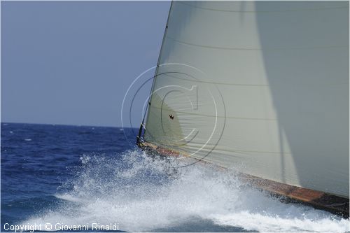 asw08_G813164.jpg