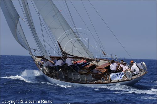 asw08_G813239.jpg