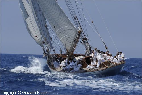 asw08_G813251.jpg