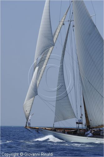 asw08_G813258.jpg