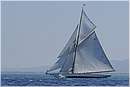 asw08_G812973.jpg