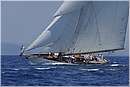 asw08_G813223.jpg