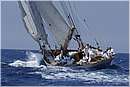 asw08_G813251.jpg