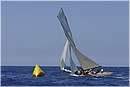asw08_G813312.jpg