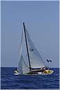 asw08_G813313.jpg