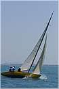 asw08_G813408.jpg