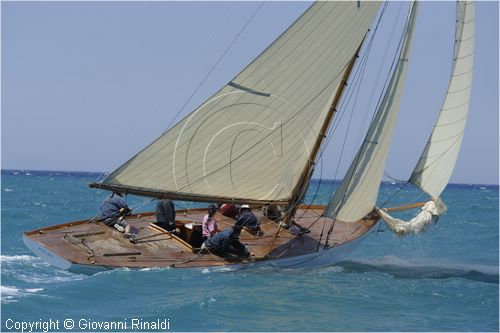 _G813494.jpg