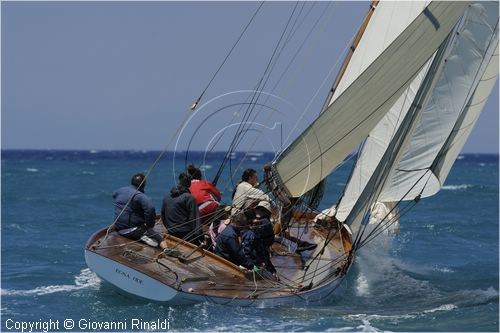 _G813502.jpg
